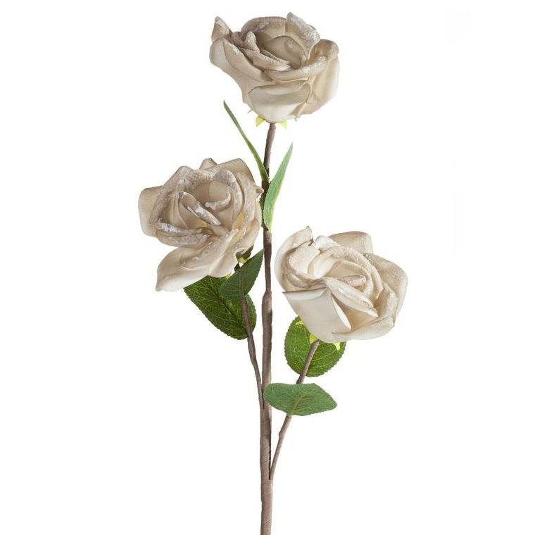 Eurofirany, kwiat flore, o 10-50 cm, ciemnobeżowy