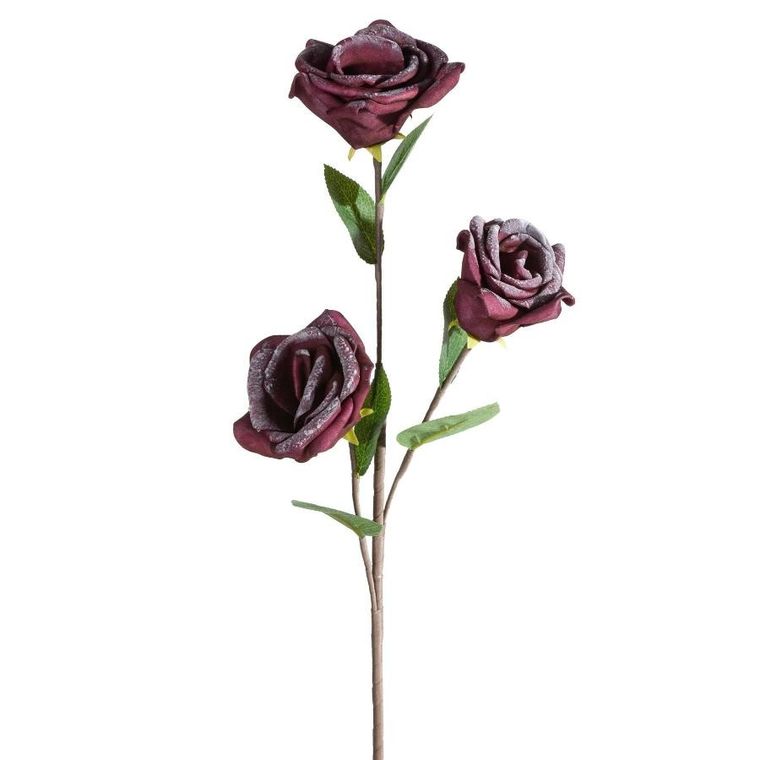 Eurofirany, kwiat flore, o 10-50 cm, ciemnofioletowy