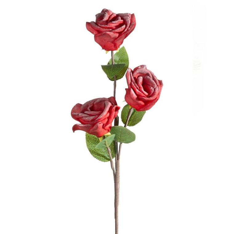 Eurofirany, kwiat flore, o 10-50 cm, czerwony