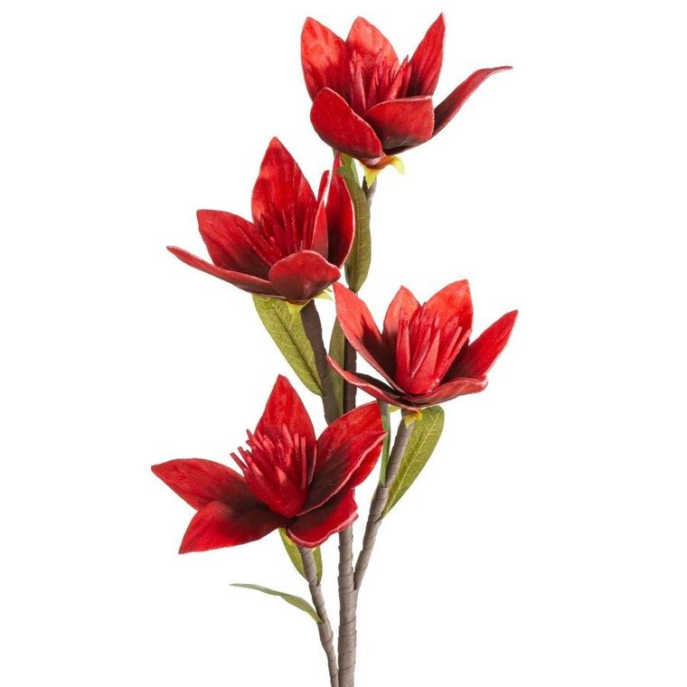 Eurofirany, kwiat flore, o 10-50 cm, czerwony