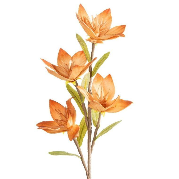 Eurofirany, kwiat flore, o 10-50 cm, jasnobrązowy