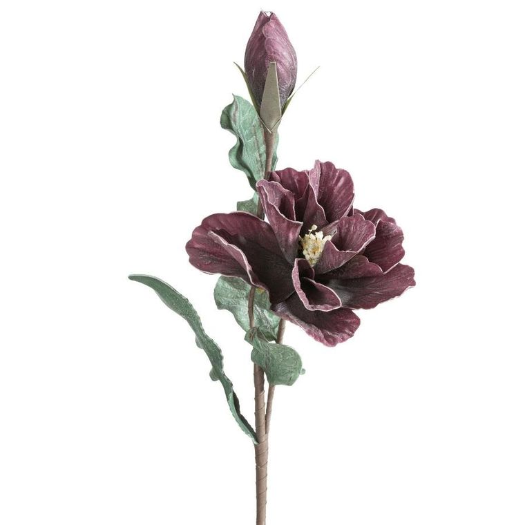 Eurofirany, kwiat flore, o 20-70 cm, ciemnofioletowy