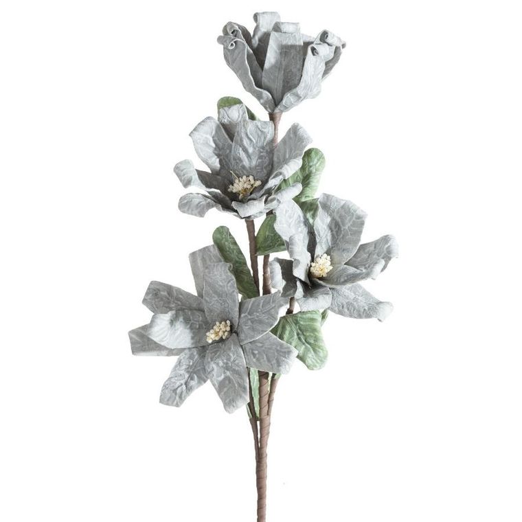 Eurofirany, kwiat flore, o 20-70 cm, popielaty