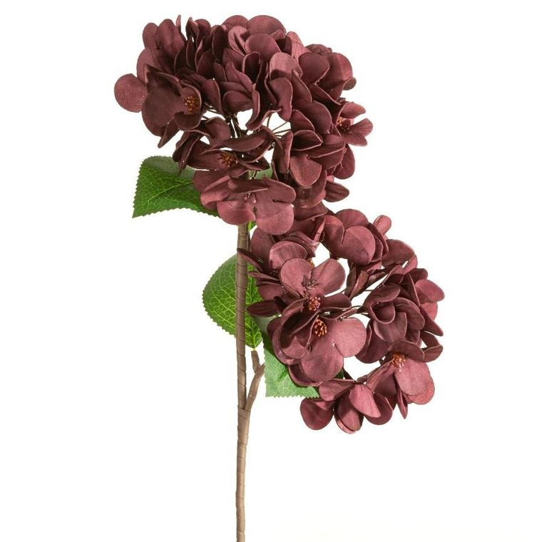 Eurofirany, kwiat flore, o 25-50 cm, ciemnofioletowy