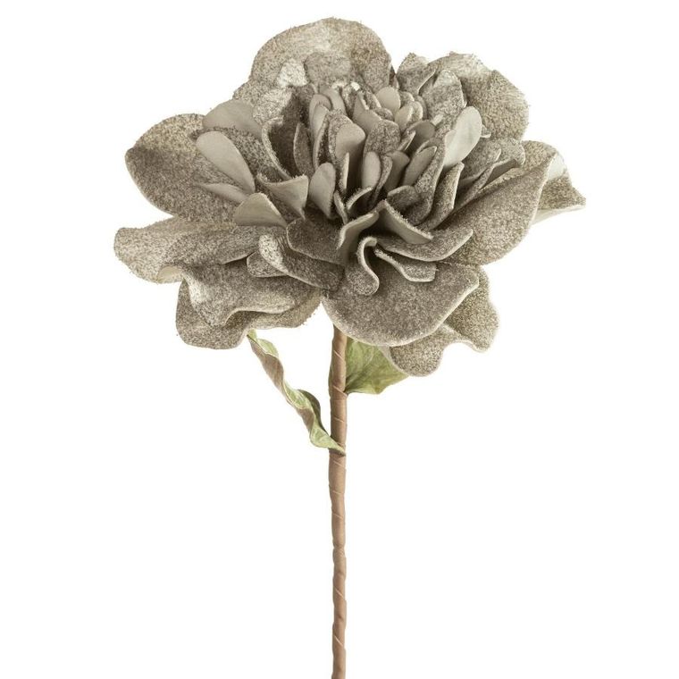 Eurofirany, kwiat flore, o 25-70 cm, popielaty