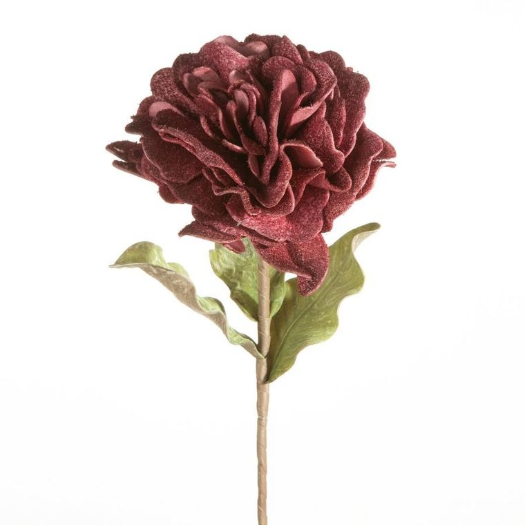 Eurofirany, kwiat flore, o 25-75 cm, ciemnofioletowy