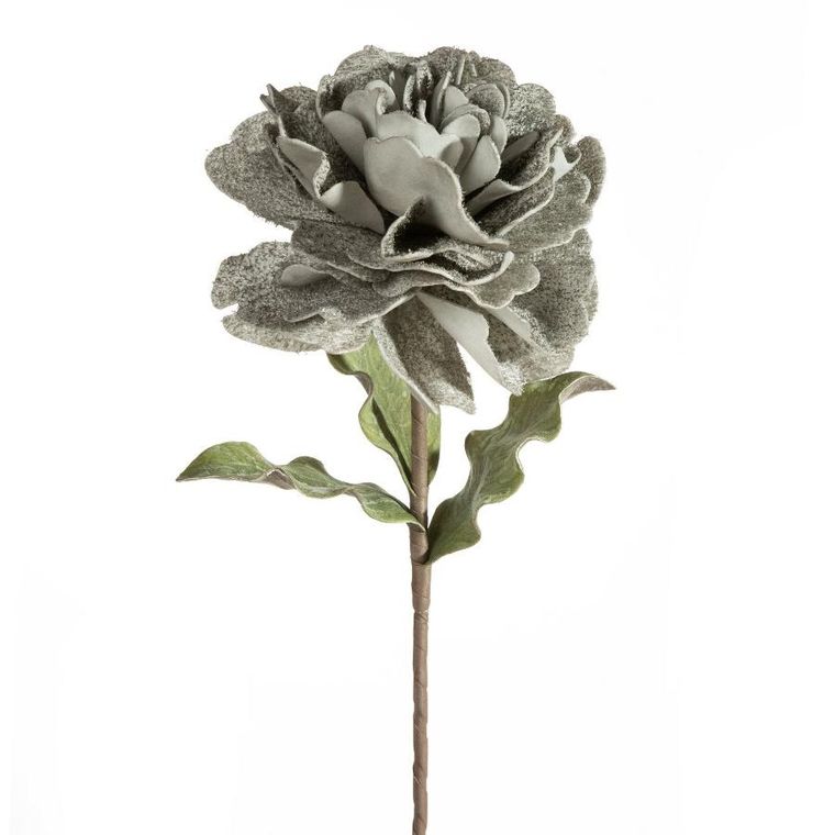 Eurofirany, kwiat flore, o 25-75 cm, popielaty