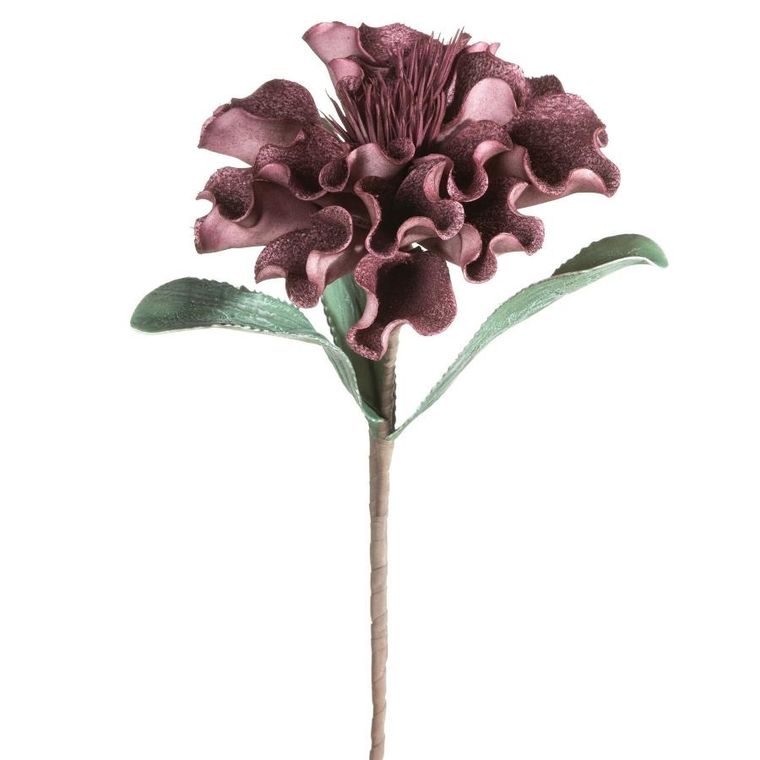 Eurofirany, kwiat flore, o 30-75 cm, ciemnofioletowy