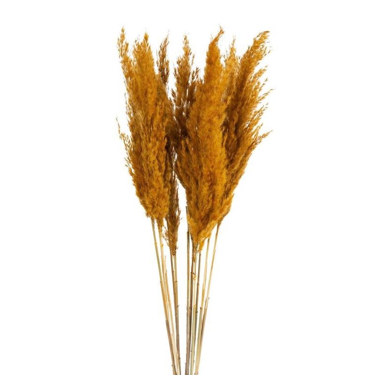 Eurofirany, kwiat Nat, długość bukietu 73 cm, długość kłosu 10 cm, pomarańczowy