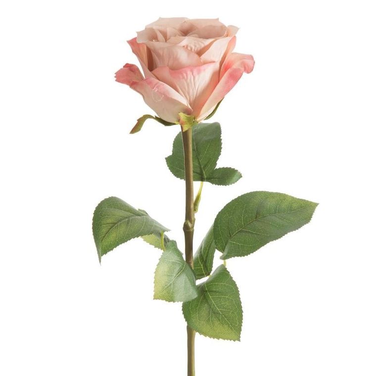 Eurofirany, kwiat Natu, 67 cm, pudrowy róż