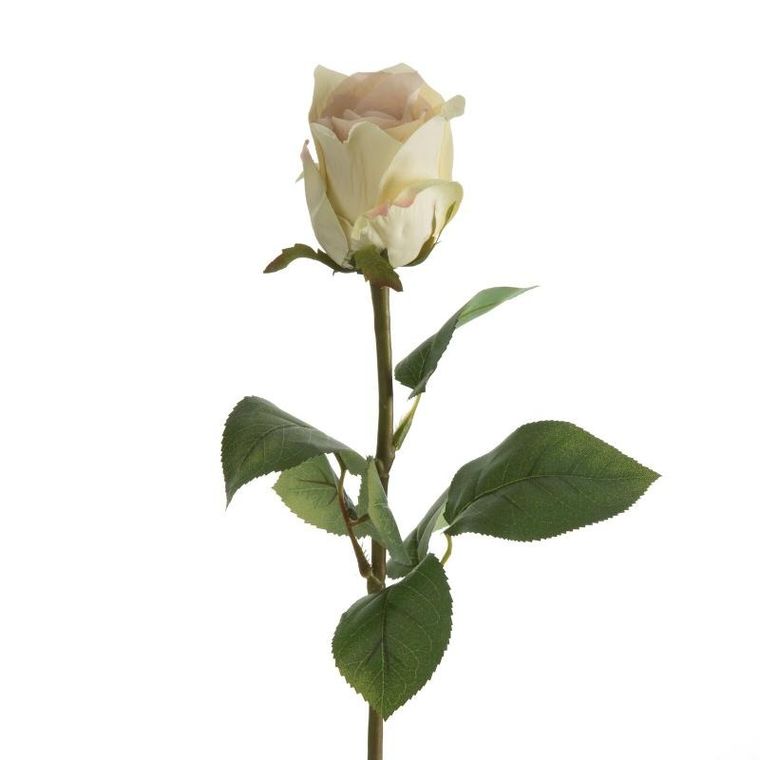 Eurofirany, kwiat Natu, 68 cm, kremowy