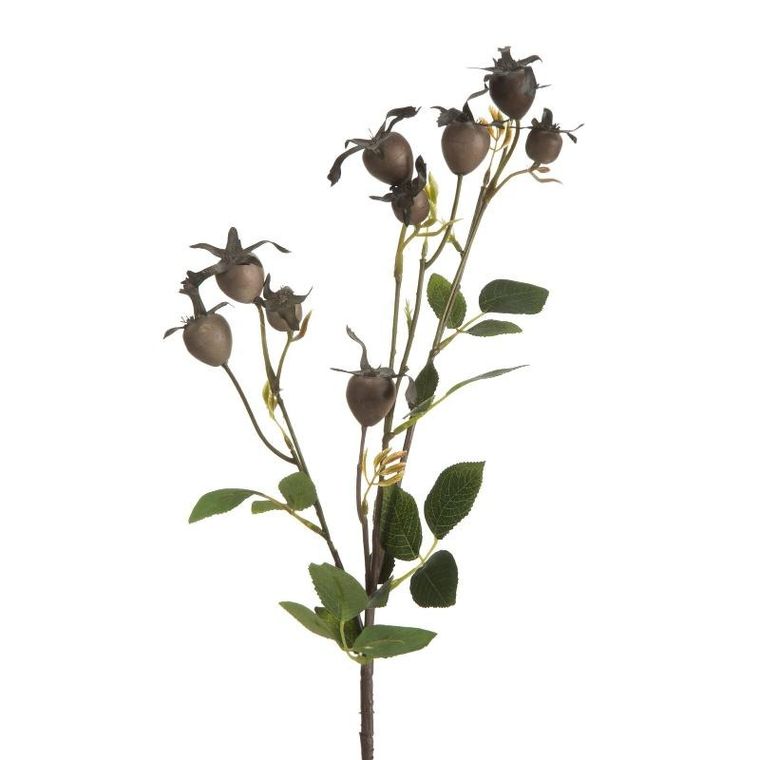 Eurofirany, kwiat Natu, 74 cm, brązowy