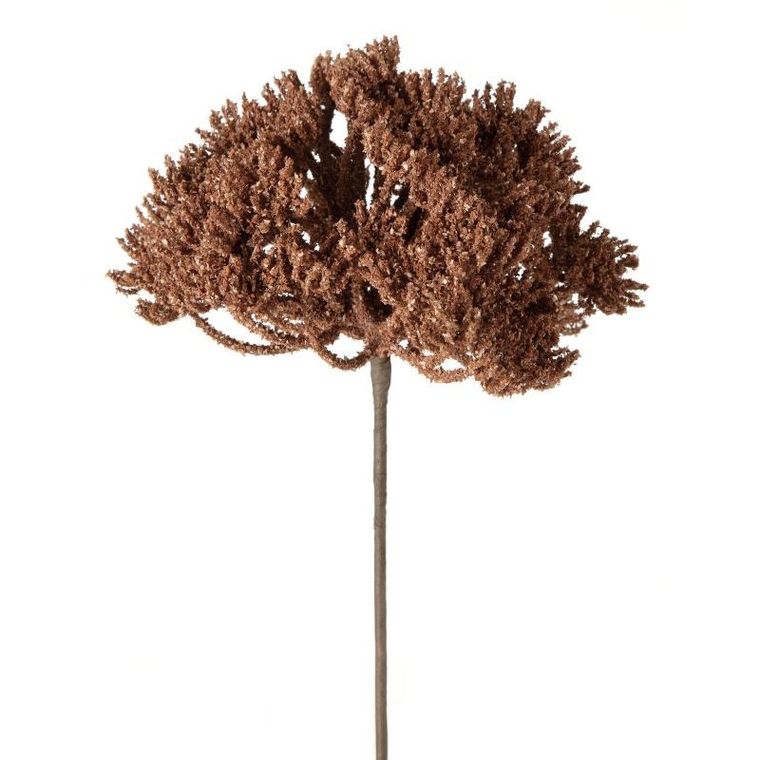 Eurofirany, kwiat Natu, ceglasty