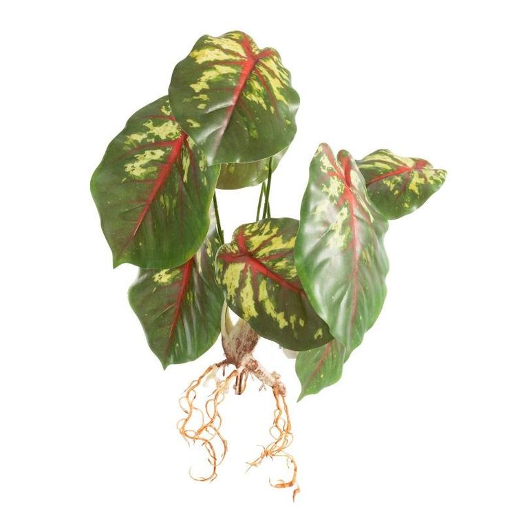 Eurofirany, kwiat Natu, długość 45 cm, długość liść 16 cm, ciemnozielony