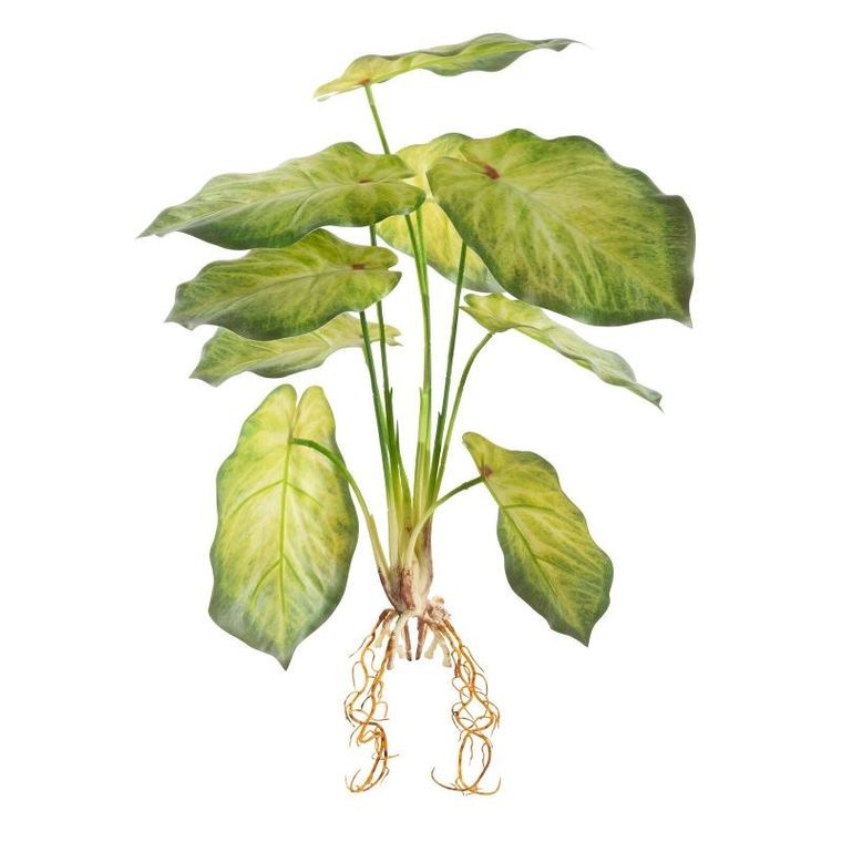 Eurofirany, kwiat Natu, długość 45 cm, długość liść 16 cm, jasnozielony