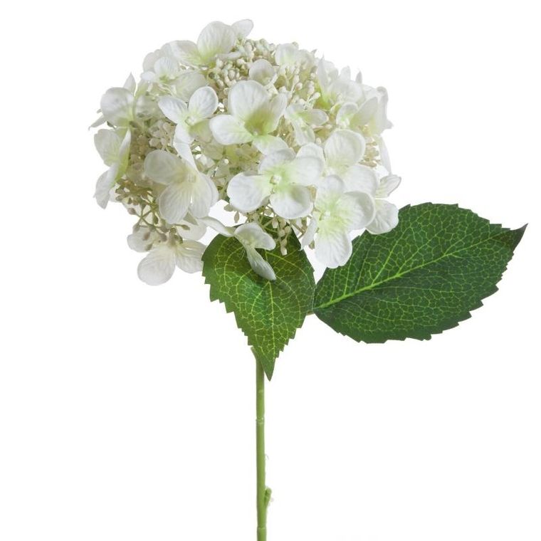 Eurofirany, kwiat Natu, kremowy