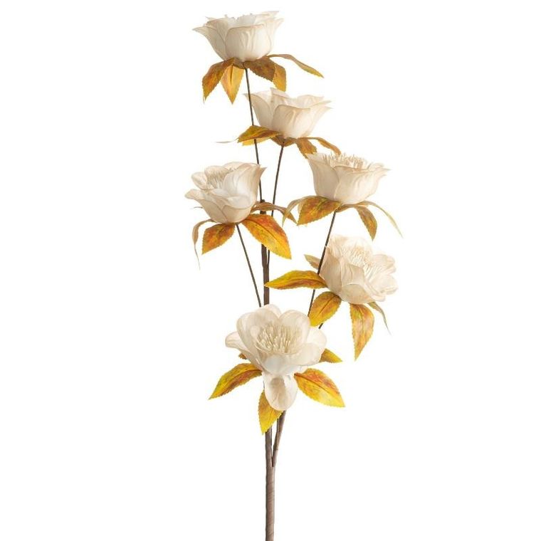 Eurofirany, kwiat natu, kremowy