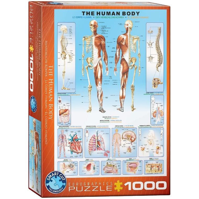 Eurographics, The Human Body, puzzle, 1000 elementów