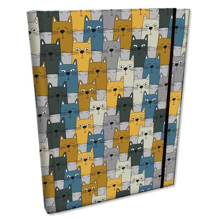 EV-Corp, Soft Touch, notes z gumką, B6, kratka, Kotecki