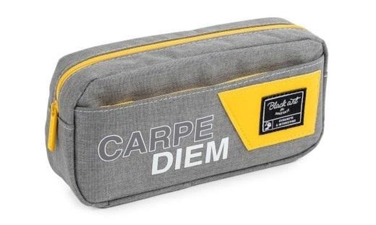 Fandy, piórnik, Feel, szary