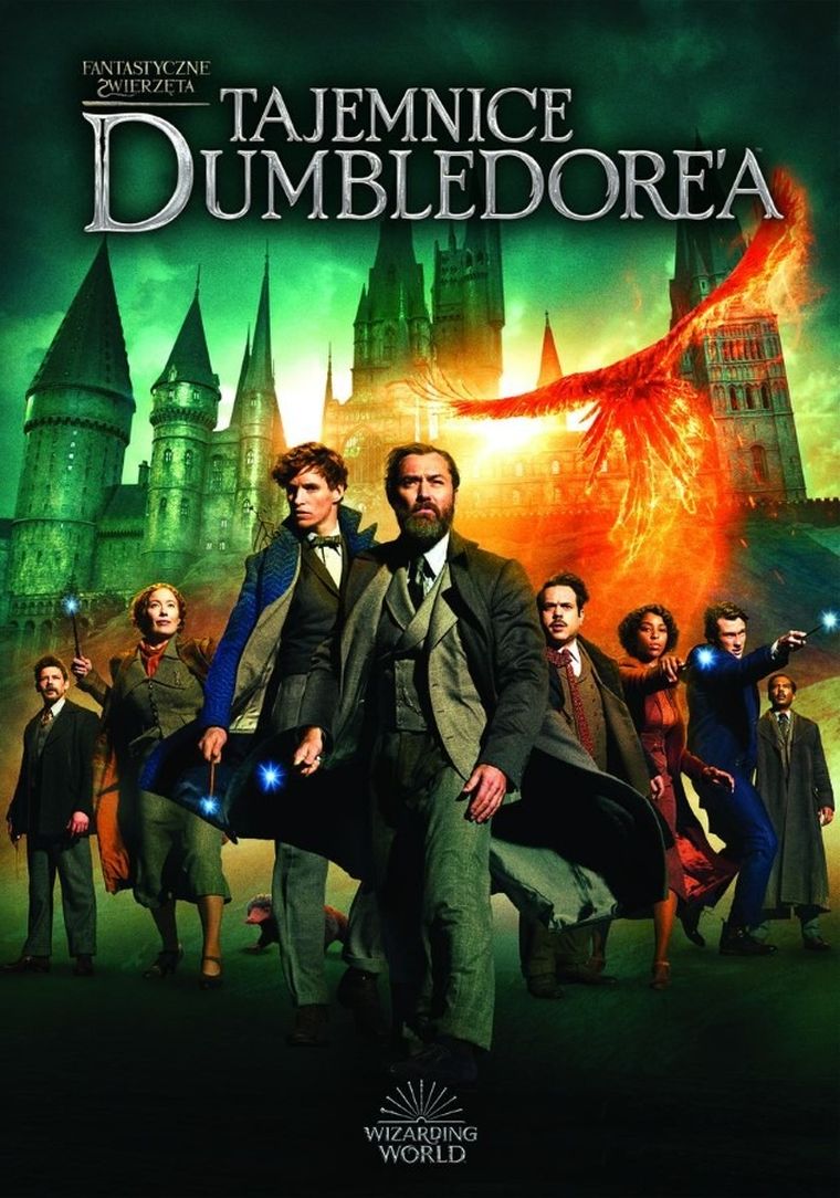 Fantastyczne zwierzęta: Tajemnice Dumbledore'a. DVD