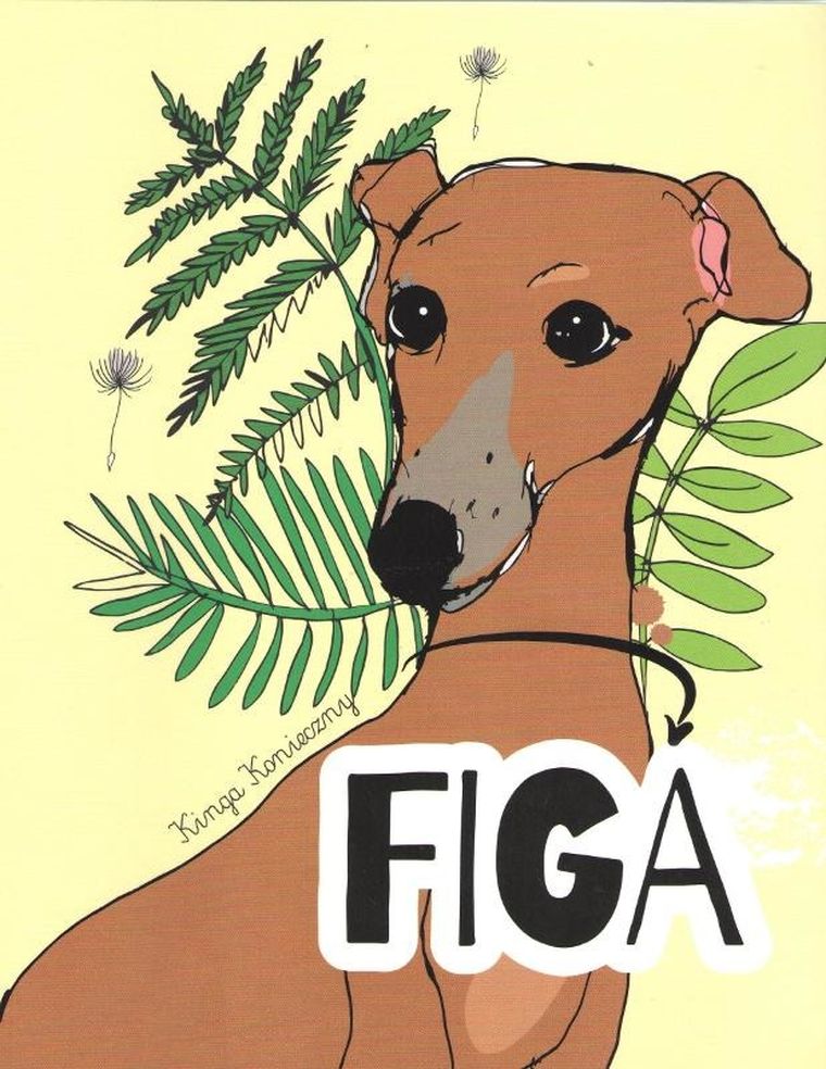 Figa