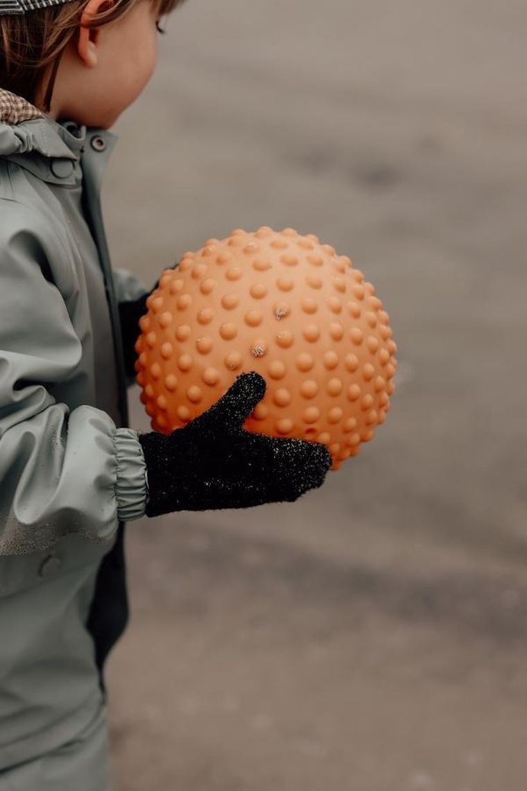 Find that Hippo, piłka sensoryczna, pomarańczowa, 20 cm