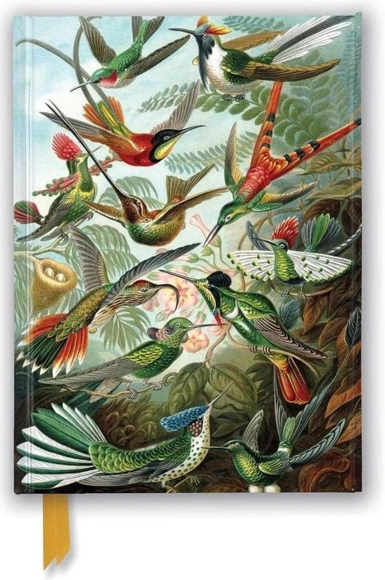 Flame Tree, notatnik, A5, linia, Kolibry Ernst Haeckel