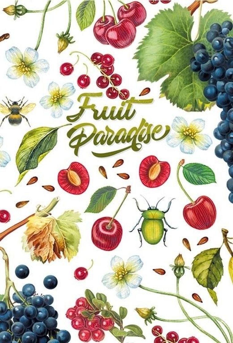 Fresh, notatnik ozdobny, 128-165, 64 kartki, linia, Wiśnie, 1 szt.