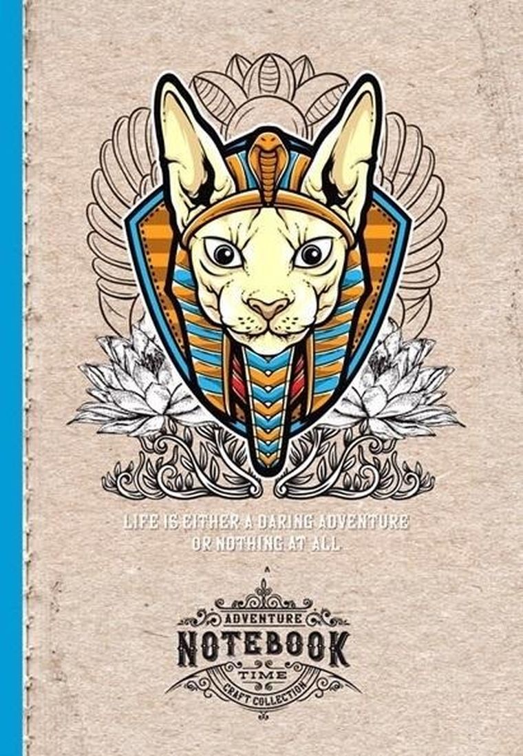 Fresh, notatnik ozdobny, 143-210, 64 kartki, kratka, Kot Faraon, 1 szt.