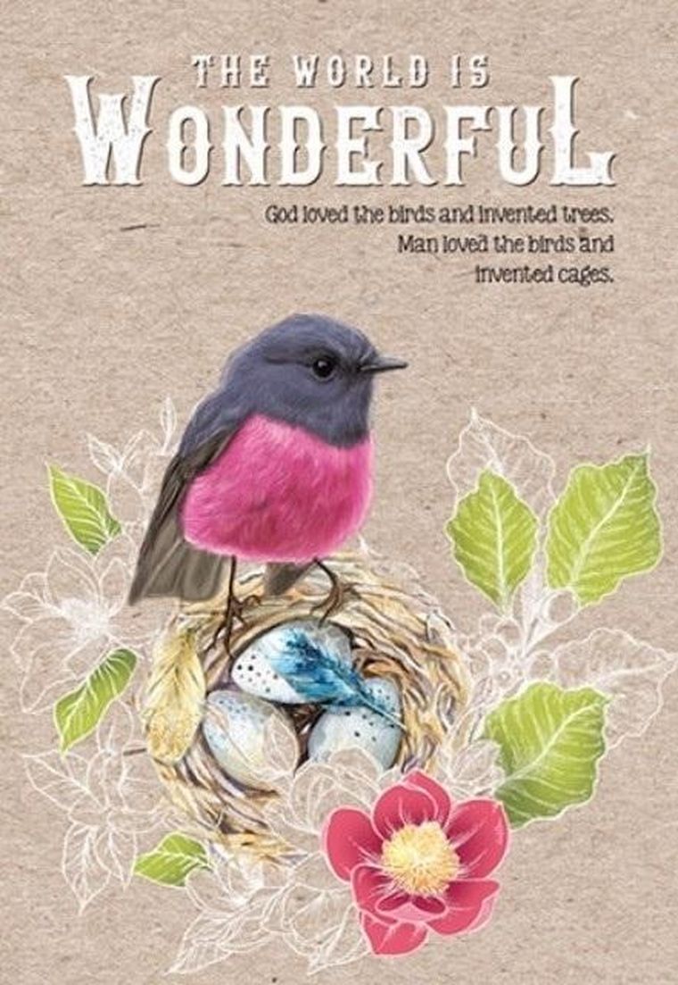 Fresh, notatnik ozdobny, 143-210, 64 kartki, kratka, Skalinek, 1 szt.