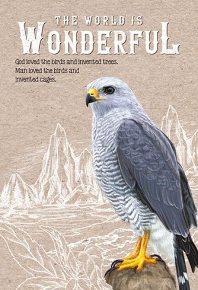 Fresh, notatnik ozdobny, 143-210, 64 kartki, kratka, Sokół, 1 szt.