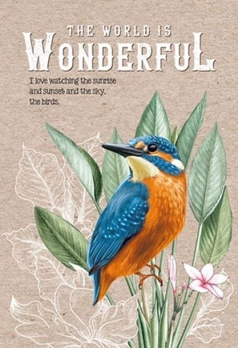 Fresh, notatnik ozdobny, 143-210, 64 kartki, kratka, Zimorodek, 1 szt.