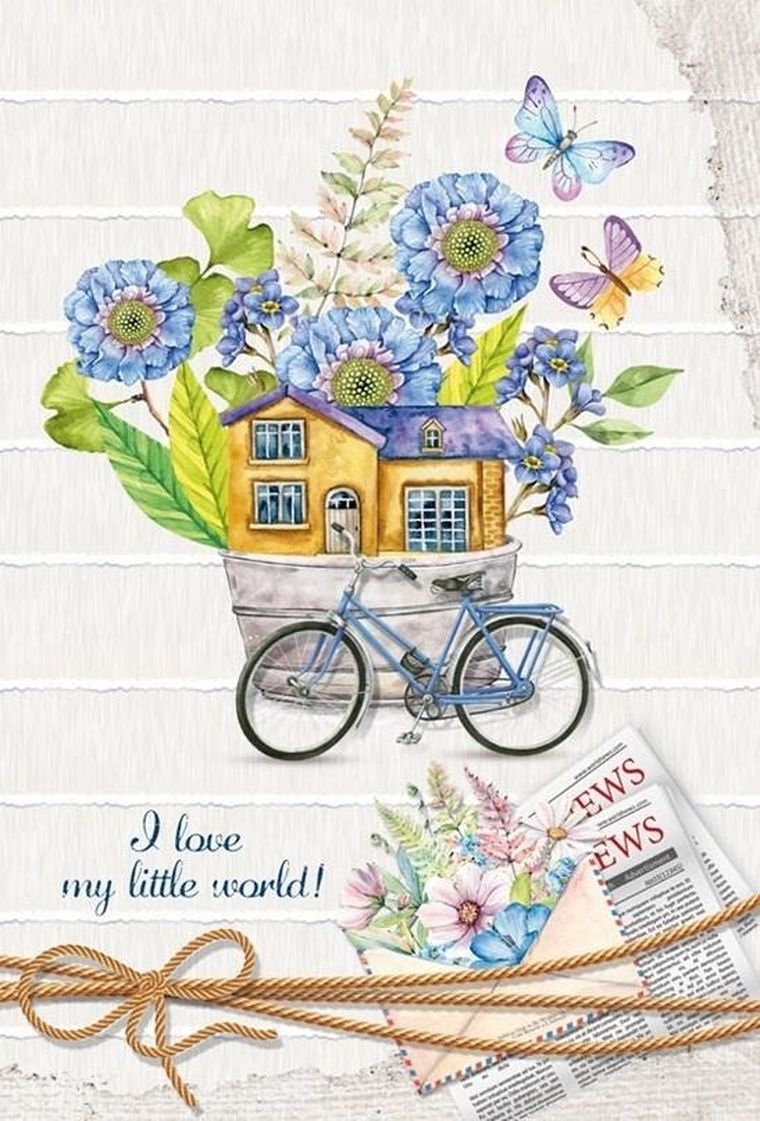 Fresh, notatnik ozdobny, 143-210, 64 kartki, linia, rower, 1 szt.