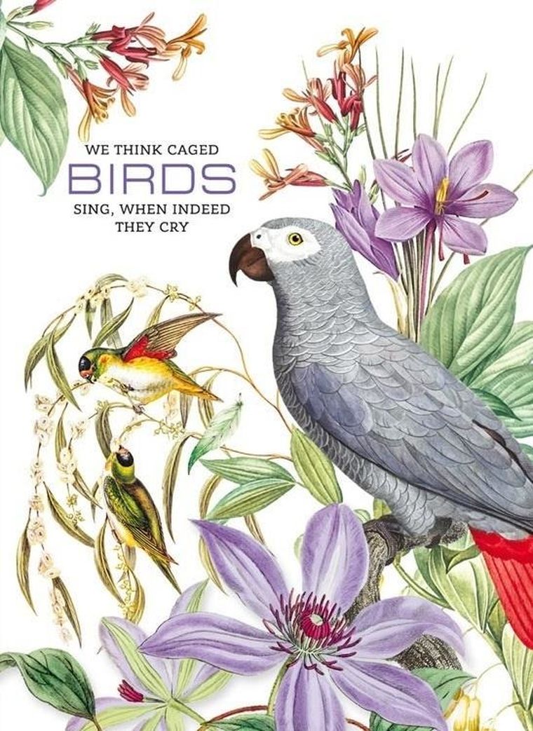 Fresh, notatnik ozdobny, 165-238, 80 kartek, kratka, Papugi, 1 szt.