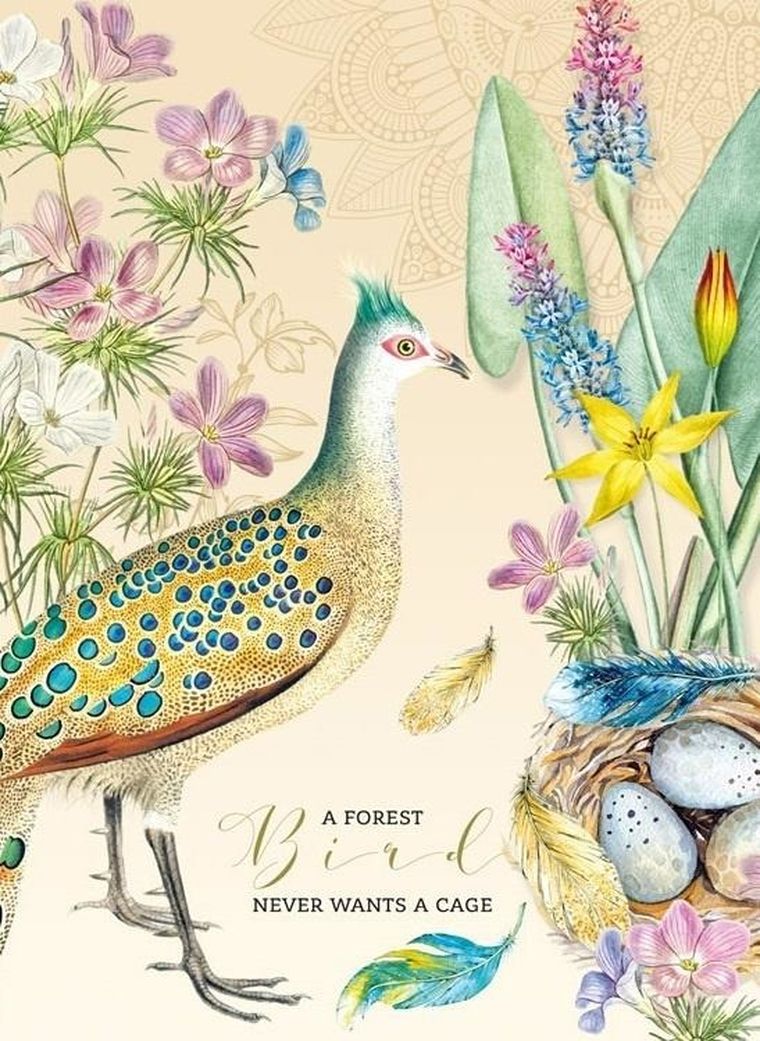 Fresh, notatnik ozdobny, 165-238, 80 kartek, kratka, Paw, 1 szt.