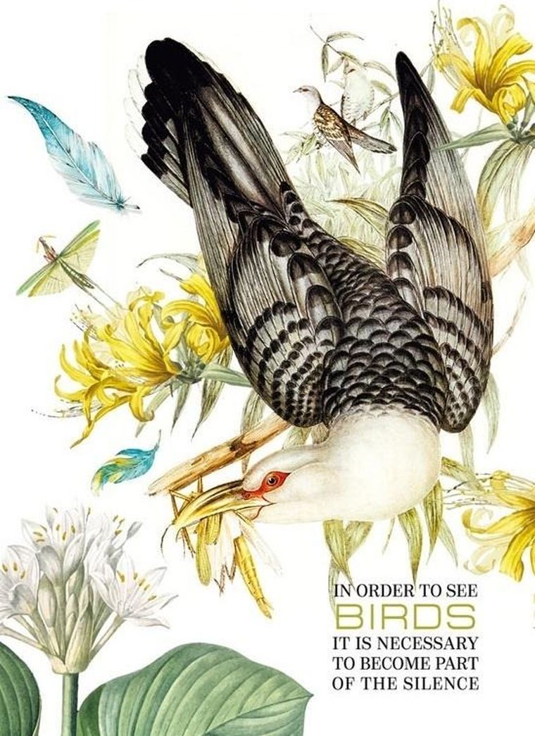 Fresh, notatnik ozdobny, 80 kartek, kratka, Ptak, 1 szt.