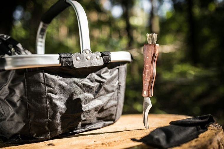 Gadget Master, niezbędnik grzybiarza