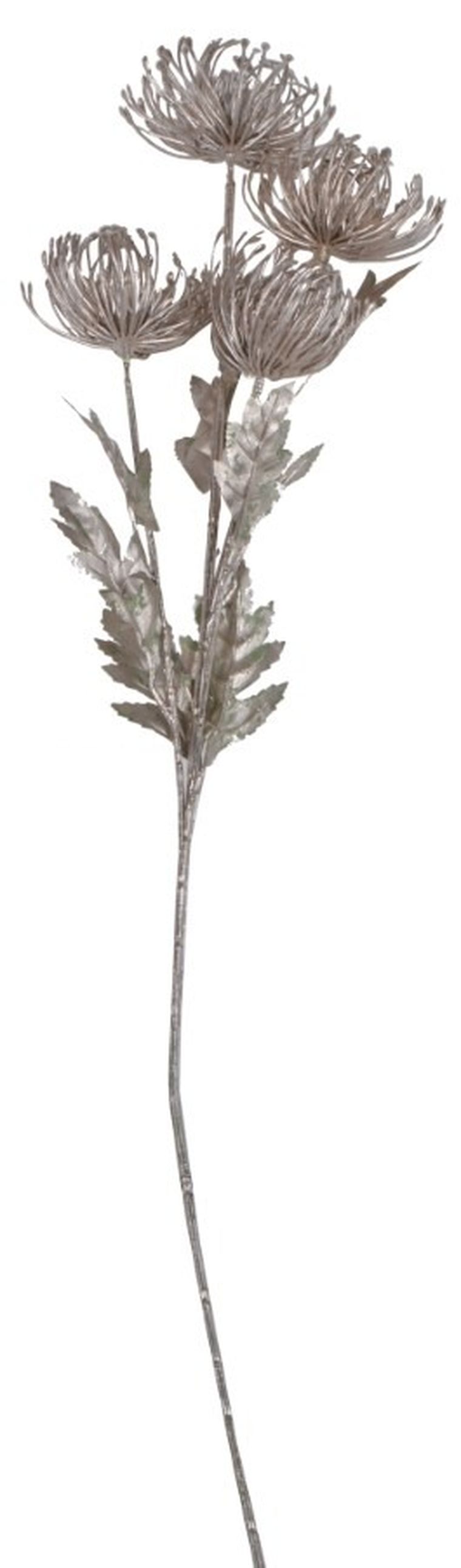 Gałązka ozdobna, szampańska