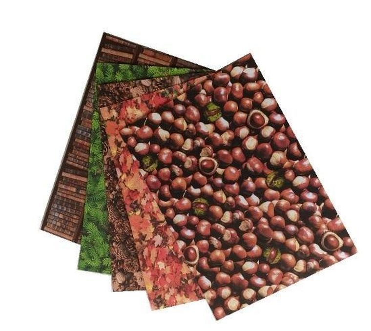 Galeria Hobby, karton 300g, 5 arkuszy, 24-34 cm, natura