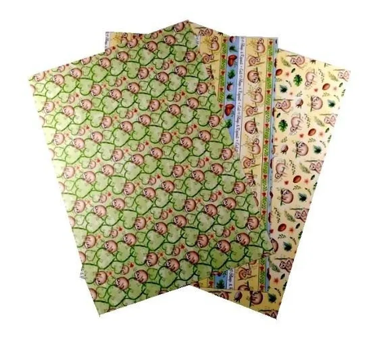 Galeria Hobby, karton, 300g, leniwce, 24-34 cm, 3 arkusze