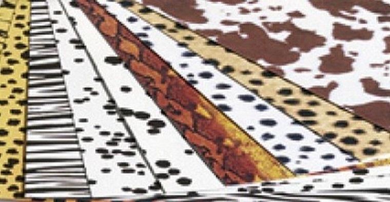 Galeria Hobby, karton w motywy zwierzęce, 8 arkuszy, 25-35 cm