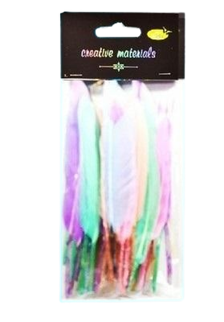 Galeria Hobby, piórka twarde, 15 cm, 50 szt.