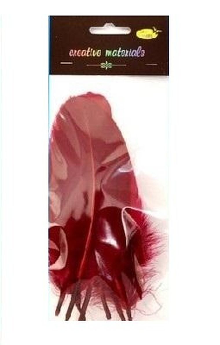 Galeria Hobby, piórka twarde, bordowe, 10 szt.