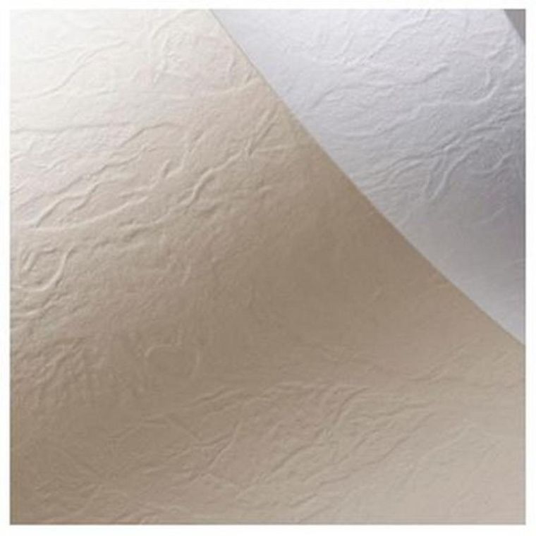 Galeria Papieru, karton ozdobny A4, biały, skóra, 230g, 20 arkuszy