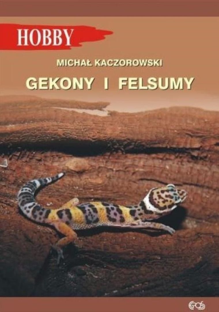Gekony i felsumy