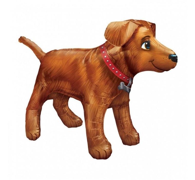 GoDan, balon foliowy, złoty pies