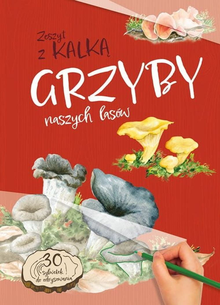 Grzyby naszych lasów. Zeszyt z kalką