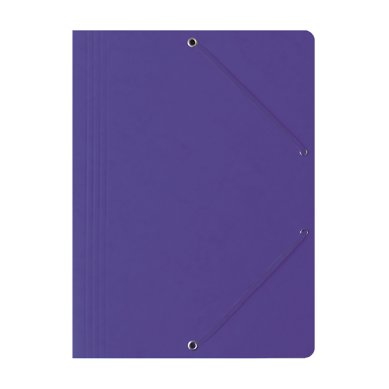 Hamelin, teczka preszpanowa z gumką Bantex, A4, fioletowy, 1 szt.