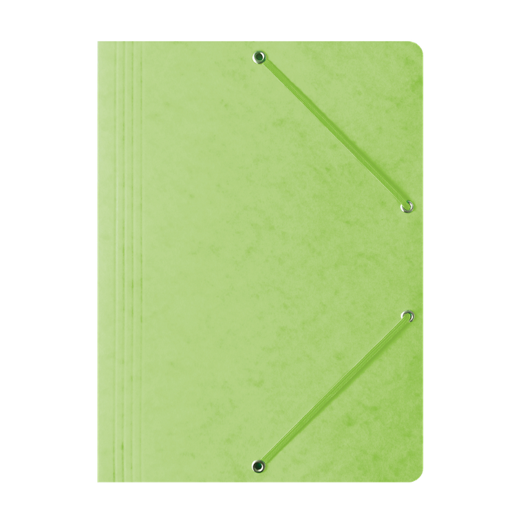 Hamelin, teczka preszpanowa z gumką Bantex, A4, jasnozielony, 1 szt.